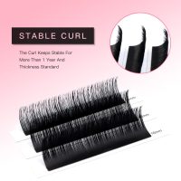 TDANCE Classic Lash Extensions Premium C CC D DD J B L Curl 0.03-0.18mm Thickness Semi Permanent Volume Eyelash Extensions Professional Salon Use Mixed 10-17mm Length In One Tray (D-0.05,10-17mm) - Image 5