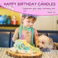 Number 2 Pink Purple Dog Paw Birthday Candles Cake Topper Numeral Birthday Candles for Boy Girl Dog Paw Decoration(Number 2, Pink,Purple) - Image 5