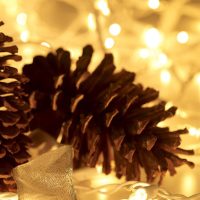 Christmas Lights 100 Count Mini Clear Lights 21ft White Wire Christmas Tree String Lights Set for Outdoor Indoor Christmas Decorations Wedding Decorations Valentines Day Decor,UL Certified (21feet) - Image 3