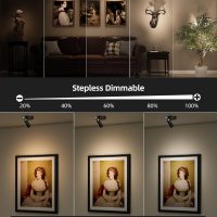 EZVALO Spotlights Indoor with Remote, 5500mAh Rechargeable Picture Lights, Wireless LED Uplighting with Timer＆Dimmable, 3CCT, Display Lights for Plant Painting, Artwork, Accent Lighting (2Pack-Black) - Image 3