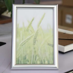 Tabletop Photo Frame - Plastic Composite Design for Home Decor (Silvery, 3.5X5)