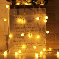 Minetom Globe String Lights, 33 Feet 100 Led Fairy Lights Plug in, 8 Modes with Remote Mini Globe Lights for Indoor Outdoor Bedroom Party Wedding Garden Christmas Tree Decor, Warm White - Image 2