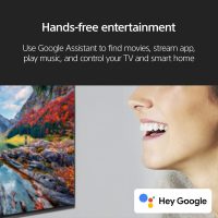 Sony 65 Inch 4K Ultra HD TV X90L Series: BRAVIA XR Full Array LED Smart Google TV with Dolby Vision HDR and Exclusive Features for The PlayStation® 5 XR65X90L- Latest Model,Black - Image 10