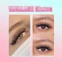 VAVALASH 320 Fans Premade Fans Eyelash Extensions 10D 14D 16D 20D 0.05 0.07 Thickness C/D Curl Middle Stem Premade Fans Volume Lash Extensions (320 Fans-10D-0.05-D-8-15mm) - Image 6