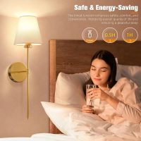 NIORSUN Battery Operated Wall Sconce Set of 2,Gold Rechargeable Wall Lights with 5200mAh Dimmable Bulbs and Remote,10 Colors Wireless Wall Lamps for Bedroom Living Room Hallway Decor - Image 6