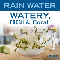 MRS. MEYER'S CLEAN DAY Hand Soap, Made with Essential Oils, Biodegradable Formula, Rain Water, 12.5 fl. oz - Pack of 3 - Image 3
