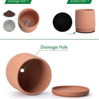 D'vine Dev 6 Inch Terracotta Beaded Planter Pot - Flower Pot with Drainage Hole and Saucer for Indoor Succulent Plants or Flowers, Terracotta, 27-C-X-7 - Image 4
