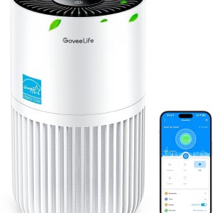 GoveeLife Mini Air Purifier for Bedroom, Smart Filter Air Purifier with App Alexa Control for Pet Hair, Odors, Pollen, Smoke, Portable Air Cleaner with 3 Speeds, 2 Modes, Timer, Aroma for Home
