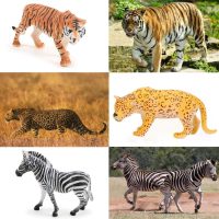 BOLZRA Safari Animals Figures Toys, Realistic Jumbo Wild Zoo Animal Figurines Plastic African Jungle Animals Playset for Kids Toddlers, 14 Piece Gift Set - Image 4