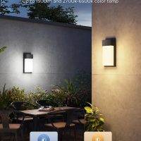 Govee Outdoor Wall Light, 1500LM Smart RGBIC Porch Lights Outdoor with 45 Scene Modes, IP65 Waterproof for Outdoor Decor, DIY Lighting Effects, Works with Alexa, Google Assistant and Matter, 2 Pack - Image 4