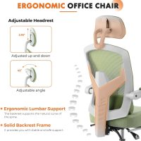 Sweetcrispy Office Computer Desk Chair, Ergonomic High-Back Mesh Rolling Work Swivel Chairs with Wheels, Comfortable Lumbar Support, Comfy Arms for Home, Bedroom, Study, Student, Green - Image 4