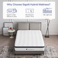 12 Inch Queen Size Hybrid Mattress - Medium Firm, Memory Foam & Pocket Springs, Motion Isolation, Edge Support, Pressure Relief, Ships Compressed - Image 5