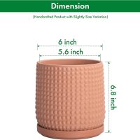 D'vine Dev 6 Inch Terracotta Beaded Planter Pot - Flower Pot with Drainage Hole and Saucer for Indoor Succulent Plants or Flowers, Terracotta, 27-C-X-7 - Image 3