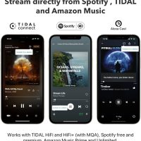 WiiM Mini AirPlay 2 Wireless Audio Streamer, Multiroom Stereo, Preamplifier, Works with Alexa and Siri Voice Assistants, Stream Hi-Res Audio from Amazon Music, Tidal and More - Image 5