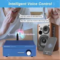 Streamer: Multi-Room Streamer | with Airplay2, Spotify Connect, DLNA | HDMI ARC, Optical, Coax, RCA, USB - Image 2