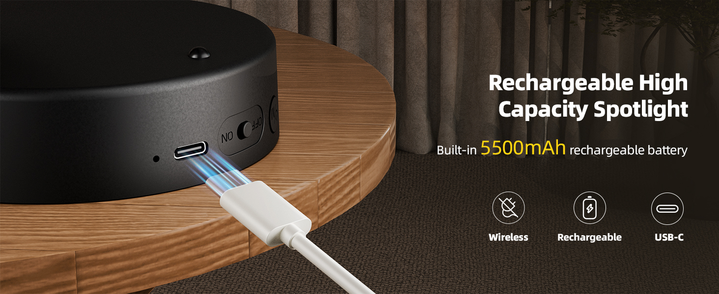 Rechargeable battery plant spotlight indoor