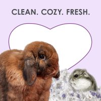 Kaytee Clean & Cozy Lavender Bedding For Pet Guinea Pigs, Rabbits, Hamsters, Gerbils, and Chinchillas, 49.2 Liters - Image 7