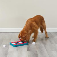 Outward Hound by Nina Ottosson Dog Brick Treat Puzzle Enrichment Toy, Level 2 Intermediate Game, Blue - Image 8
