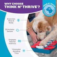 Outward Hound by Nina Ottosson Dog Brick Treat Puzzle Enrichment Toy, Level 2 Intermediate Game, Blue - Image 6