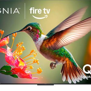 INSIGNIA 55-inch Class QF Series LED 4K UHD QLED Smart Fire TV with Alexa Voice Remote (NS55-UQFL26)