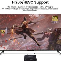 ACEMAX 4K Ultra-HD Digital Media Player for USB Drives and MicroSD Cards with 4K HDMI and Analogy AV, Digital Signage,Automatic Playback,Resume and Looping Capability,H.265 Videos Music Photos... - Image 4