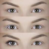 essence | Volume Booster Lash Primer Mascara | Infused with Mango Butter and Acai Oil for Nurtured Lashes | Conditioning Mascara Primer | White | Vegan | Paraben & Cruelty Free (Pack of 1) - Image 4