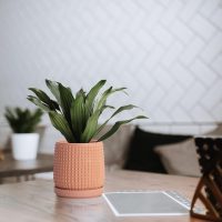 D'vine Dev 6 Inch Terracotta Beaded Planter Pot - Flower Pot with Drainage Hole and Saucer for Indoor Succulent Plants or Flowers, Terracotta, 27-C-X-7 - Image 7