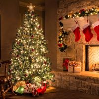 Minetom Clear Christmas Lights Set 100 Count 25 Feet Incandescent Bulb Mini String Lights for Indoor Christmas Tree Garland Birthday Wedding Party Festival Decoration, White Wire - Image 8