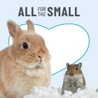 Kaytee Clean & Cozy White Paper Bedding, Made for Small Animals, 100 Liters, Pack of 2 - Image 6