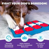 Outward Hound by Nina Ottosson Dog Brick Treat Puzzle Enrichment Toy, Level 2 Intermediate Game, Blue - Image 2