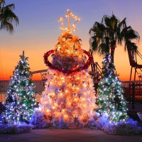 Minetom Clear Christmas Lights Set 100 Count 25 Feet Incandescent Bulb Mini String Lights for Indoor Christmas Tree Garland Birthday Wedding Party Festival Decoration, White Wire - Image 2