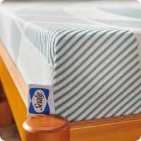 Sealy Dreamlife 8” Foam Mattress-in-a-Box, Queen, SealyComfort Gel Memory Foam, Surface-Guard Technology, Breathable Comfort - Image 12