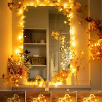 Minetom Twinkle Fairy Lights, 33 ft 100 LED USB Plug in String Lights with Remote and Timer, Waterproof 8 Modes for Bedroom Indoor Wreath DIY Party Wedding Christmas Holiday Decoration - Image 5