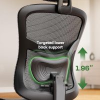 Marsail Ergonomic Mesh Office Chair: Mesh Computer Desk Chair with Adjustable Lumbar Support, 2D Headrest & Up and Down Armrest, Ergonomic Gaming Chair for Home Office, Black - Image 4