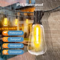 Outdoor String LED Patio Lights - 100Ft 30M Outside Waterproof Light with Remote Dimmable ST38 Shatterproof Bulb Connectable Hanging Outdoor Electric Lighting for Backyard Yard Gazebo Porch Party - Image 5