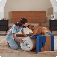 Sealy Dreamlife 8” Foam Mattress-in-a-Box, Queen, SealyComfort Gel Memory Foam, Surface-Guard Technology, Breathable Comfort - Image 11