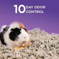 Carefresh 99% Dust-Free Natural Paper Small Pet Bedding with Odor Control, 60 L - Image 4
