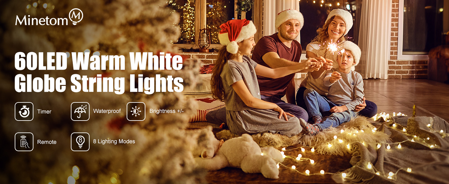 Warm White Globe String Lights Battery Operated