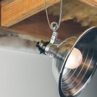Woods Clamp Lamp Light with Aluminum Reflector; 150W; UL Listed; 6- Foot Cord - Image 6