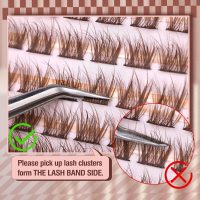 Brown Lash Clusters Natural Lash Extensions Wispy Eyelash Clusters 154 Pcs C-Curly Lashes Clusters for Everyday Wear Beginner Friendly Dark Brown Cluster Eyelash Extensions by Mavphnnee - Image 7