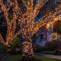 Christmas Lights 100 Count Mini Clear Lights 21ft White Wire Christmas Tree String Lights Set for Outdoor Indoor Christmas Decorations Wedding Decorations Valentines Day Decor,UL Certified (21feet) - Image 4