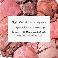 LAURA GELLER NEW YORK Baked Blush-n-Brighten Marbleized Blush for Cheeks - Pink Buttercream - Natural Finish - Buildable Color - Image 3