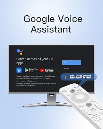 Google Voice Assistant