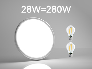 LED Ceiling Light