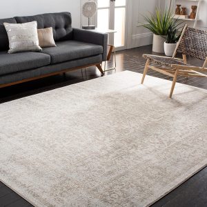 SAFAVIEH Area Rug 8x10 - Evoke Collection - Large - Ivory & Taupe, Oriental Distressed Design, Non-Shedding & Easy Cleaning, Ideal for Living Room, Bedroom, Office, Dining Space (EVK256E)