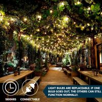 Joiedomi Clear Christmas String Lights Indoor,100 Count Mini Warm White Fairy Light,21.4 FT Lighting Decor for Patio Dorm Classroom Bedroom Holiday Wedding Party Garland Birthday Festival,Green Wire - Image 7