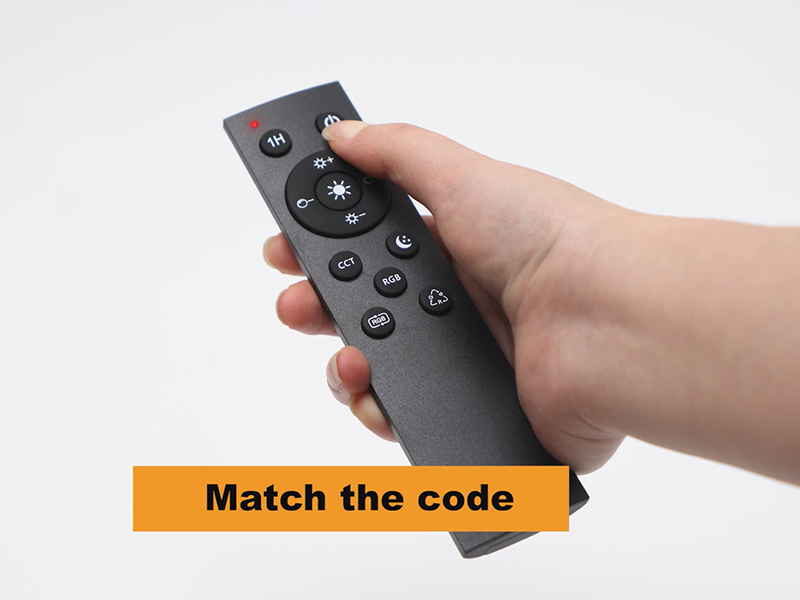 remote