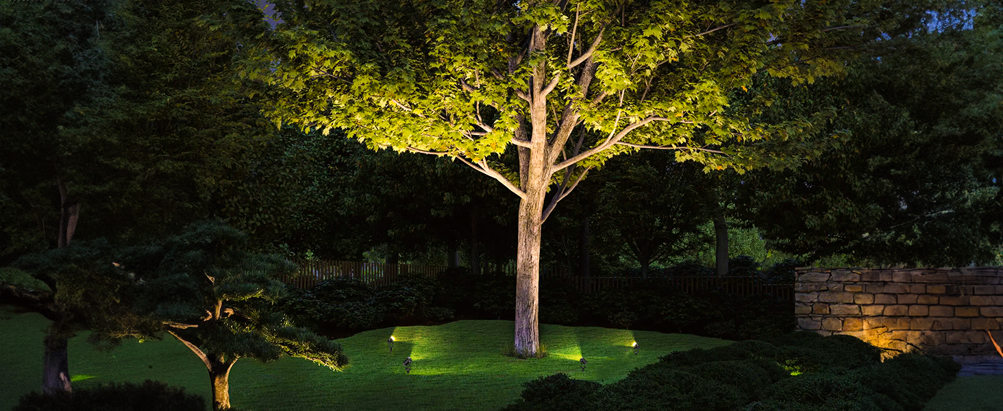low voltage landscape lights