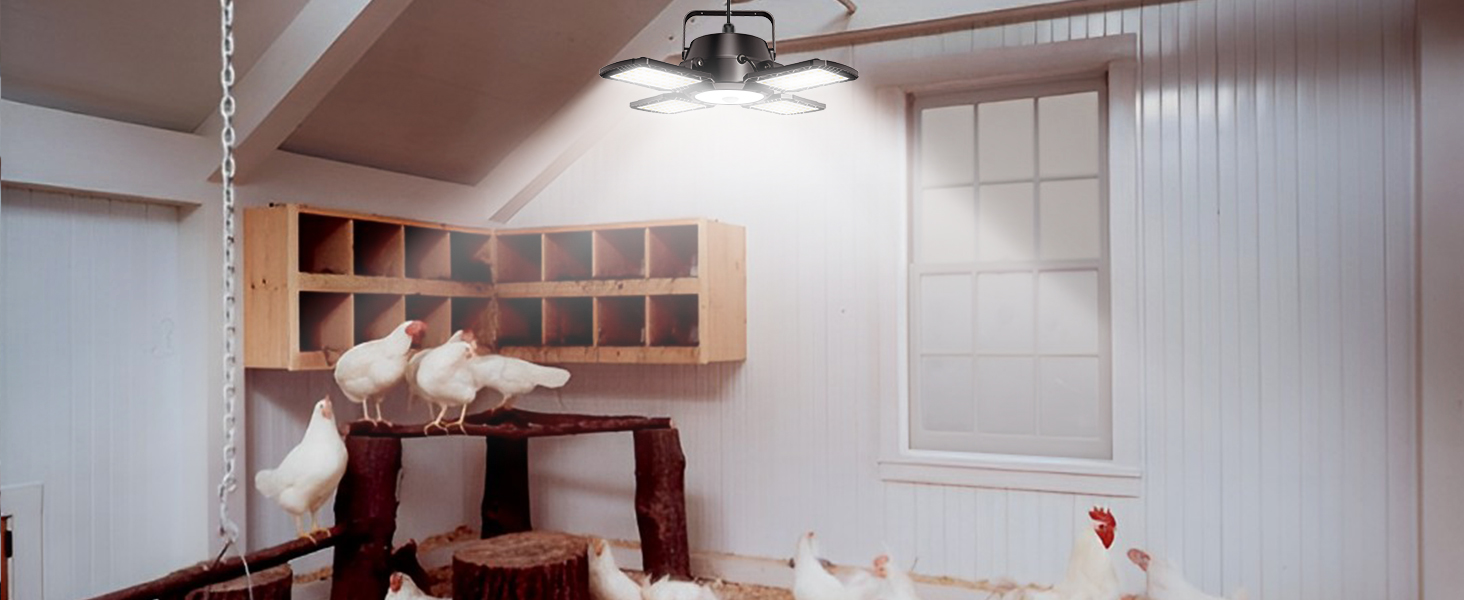solar Chicken coop light