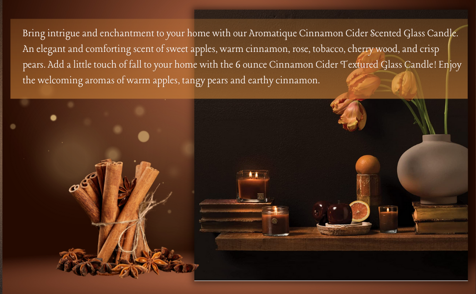 Aromatherapy Long Lasting Room Air Freshener Deodorizer